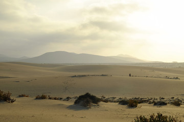 National park Corralejo on Fuerteventura Spain.