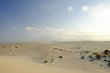 Fototapeta na wymiar Natural reserve with sand dunes in Corralejo Fuertevra, Spain.