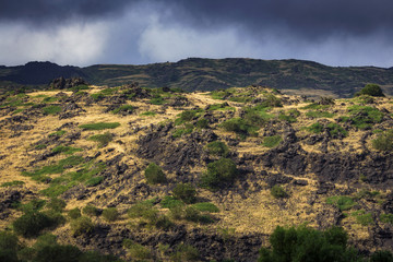Ätna Vulkan Landschaft auf Sizilien im Hochsommer