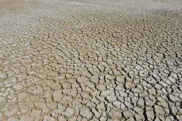 The parched soil