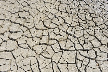 The parched soil