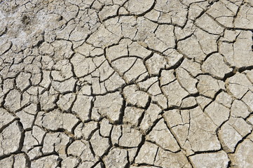 The parched soil
