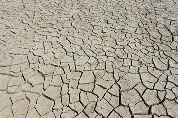 The parched soil