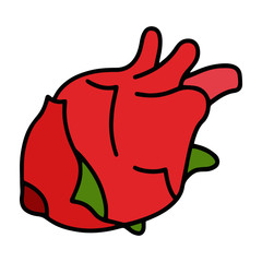 Dragon Fruit cartoon illustration isolated on white background for children color book