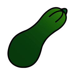 Calabash cartoon illustration isolated on white background for children color book