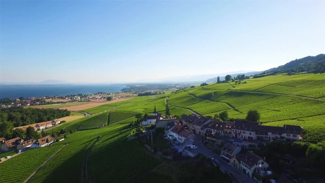 4K Aerial footage of Vineyard fields between Lausanne and Geneva in Switzerland -UHD