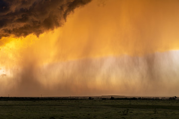 Fototapeta na wymiar Pouring rain at sunset