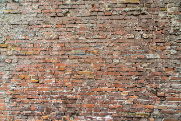 Worn Red Brick Wall in The Netherlands
