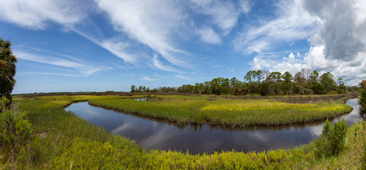 Panoramic Florida marsh in the Summertime with interesting clouds