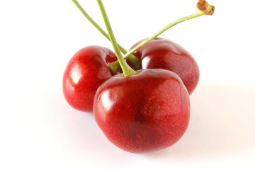 fresh cherry fruit in white background
