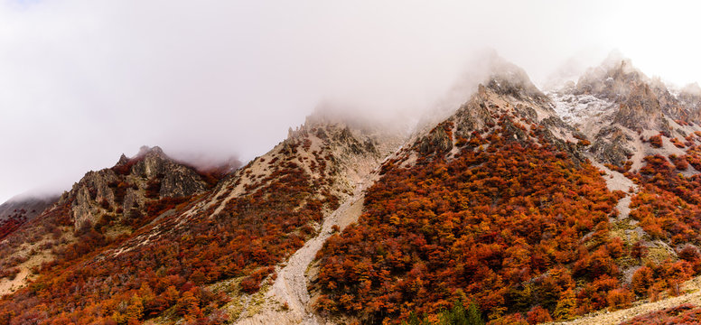 Autumn On The Patagonian Andes