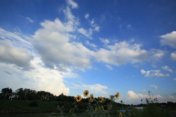 山の風景