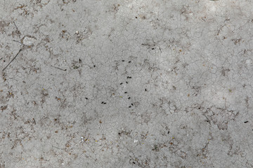 Textured, Moldy and Aged Stone and Plaster Wall in Lafayette Cemetery #1, New Orleans, Louisiana