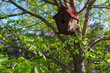Birdhouse in tree