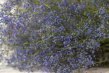 bouquet of blue wildflowers on a white wooden background