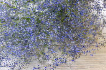 background. defocusing. Field flowers of blue color on a light wooden table
