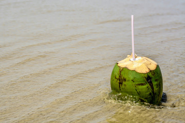 Fresh young coconut lying on the beach