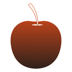 Apple fruit isolated vector illustration graphic design