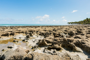 Paradise coral tropical Beach in Brazil, Carneiros Beach, Pernambuco