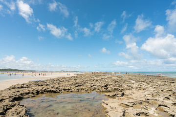 Paradise coral tropical Beach in Brazil, Carneiros Beach, Pernambuco