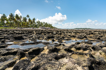 Paradise coral tropical Beach in Brazil, Carneiros Beach, Pernambuco