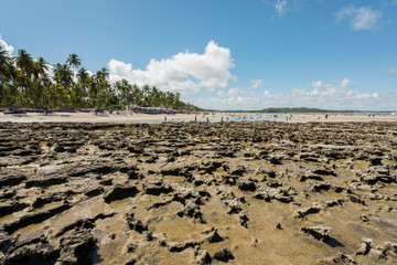 Paradise coral tropical Beach in Brazil, Carneiros Beach, Pernambuco