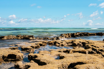 Paradise coral tropical Beach in Brazil, Carneiros Beach, Pernambuco