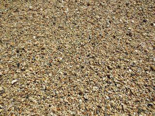 Grains of Kahala Beach Sand Close-up