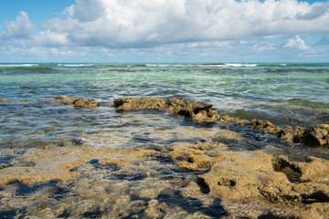 Paradise coral tropical Beach in Brazil, Carneiros Beach, Pernambuco