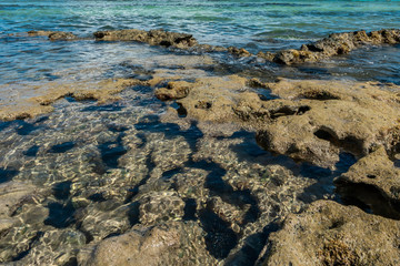 Paradise coral tropical Beach in Brazil, Carneiros Beach, Pernambuco