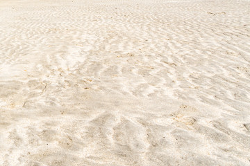 Beach sand background