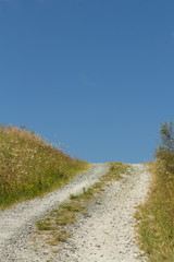 A dirt road passing through a summer field