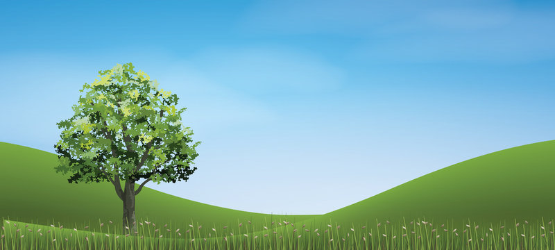 Tree in green grass hill area with blue sky. Abstract background park and outdoor for landscape idea. Use for natural article both on print and website. Vector.