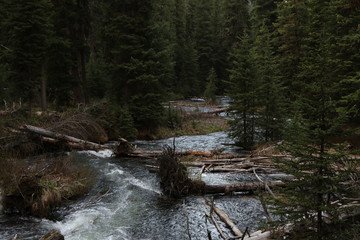 Montana River