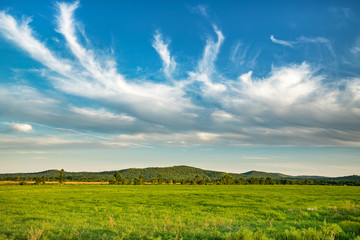 Beautiful green field and blue sky with clouds on a bright sunny day. Small hills and trees in the background.