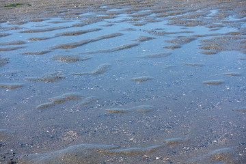 A puddle of water on the sand