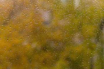 Raindrops  on the window / weather characteristic autumn