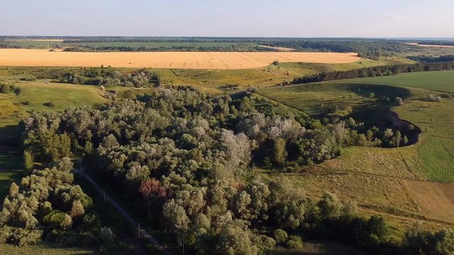 Aerial view on the trees in warm summer light