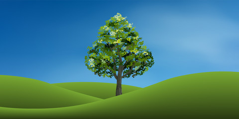 Tree on green grass hill with blue sky. Abstract background park and outdoor for landscape idea. Use for natural article both on print and website. Vector.