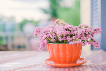 Cute dry flower in orange cup flower pot decorated on table with copy space for text or image.