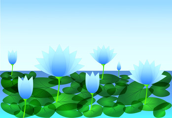 Cool and beautiful blue waterlily flowers with leaf in the pond water with blue sky