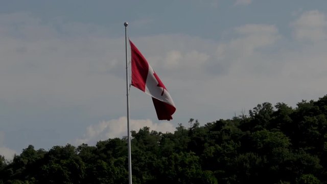 Panoramic view of a Canadian flag blowing in the wind with a forest on the horizon and white puffy clouds. Patriotic fag of Canada. Symbol of north American nationalism. 