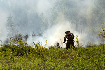 Fireman with safety clothes and helmet spraying water to fire surround with smoke and dust in the wildfire.