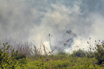 Fireman with safety clothes and helmet spraying water to fire surround with smoke and dust in the wildfire.