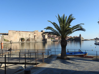 collioure pyrénées orientales