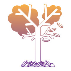 Obraz premium dry tree icon