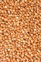 Background buckwheat