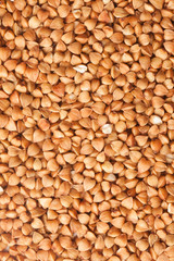 Background buckwheat