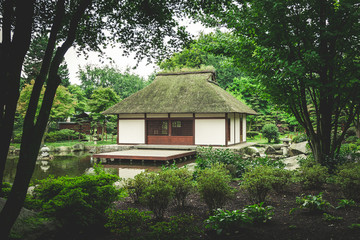 Japanese garden