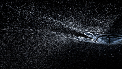 Bewässerung mit einer Sprinkleranlage